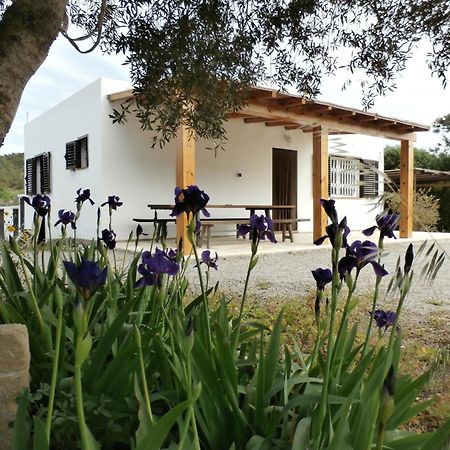 Sa Vinya Casa De Campo Es Cubells Bagian luar foto